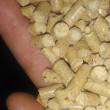 PELLET Pelet SOSNOWY