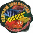 Sklep Zoologiczny i Hodowla Ryb Akwariowych 