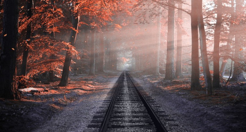 fot. pixabay