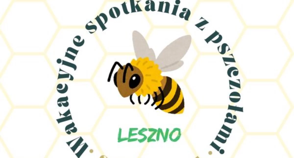 Warsztaty, Ostatnie „Wakacyjne spotkania pszczołami” odbędą Lesznie - zdjęcie, fotografia