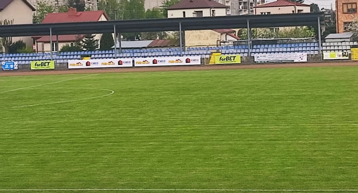 Konkursy - Wyróżnienia, Zagłosuj przasnyską murawę - zdjęcie, fotografia