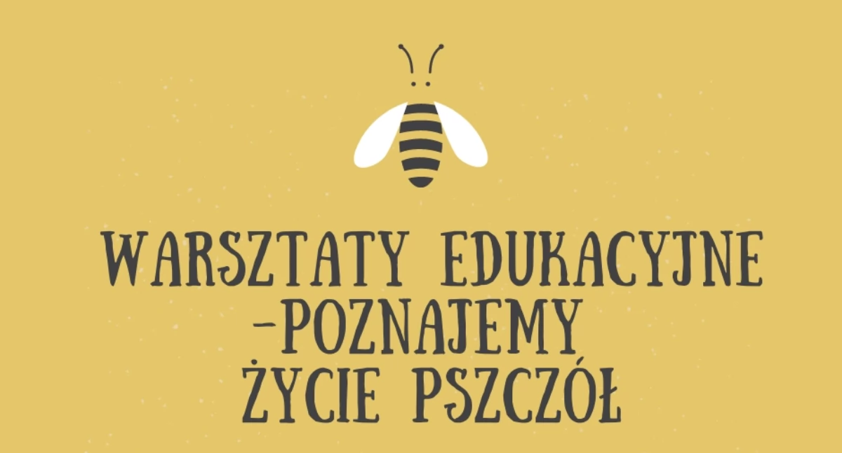 Warsztaty, Warsztaty edukacyjne dzieci– poznajemy życie pszczół - zdjęcie, fotografia