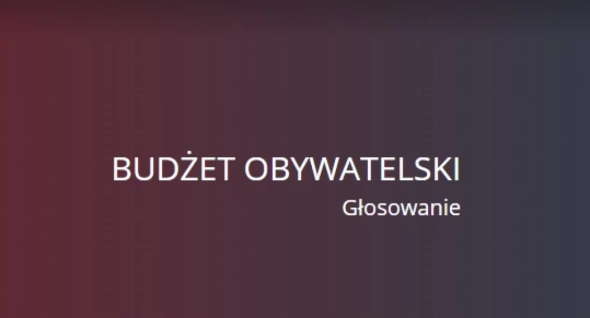 Starosta i Powiat, Wystartowało głosowanie projekty Budżetu Obywatelskiego Powiatu Przasnyskiego 2025! - zdjęcie, fotografia