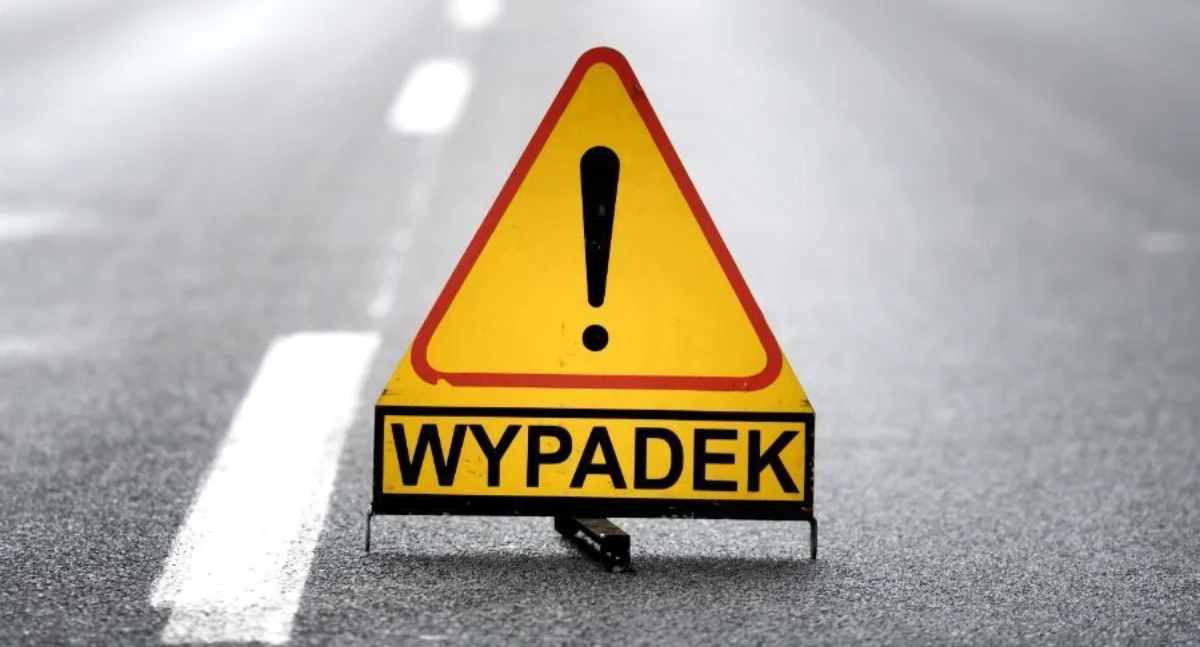 Wypadki drogowe, Kolizja drogowa udziałem dzikiej zwierzyny Chojnowie - zdjęcie, fotografia