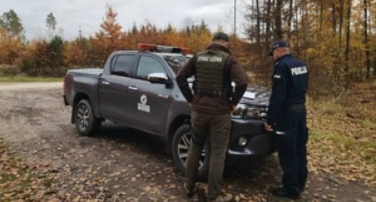 Komunikaty policji , Akcja „STROISZ Walka nielegalnym pozyskiwaniem gałęzi drzew iglastych - zdjęcie, fotografia