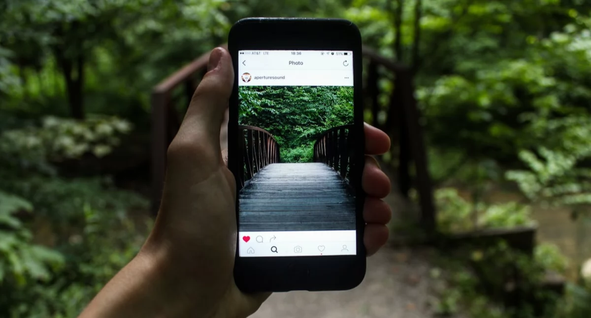 Promocje gospodarcze, Instagram Pinterest gdzie znajdziesz więcej inspiracji - zdjęcie, fotografia