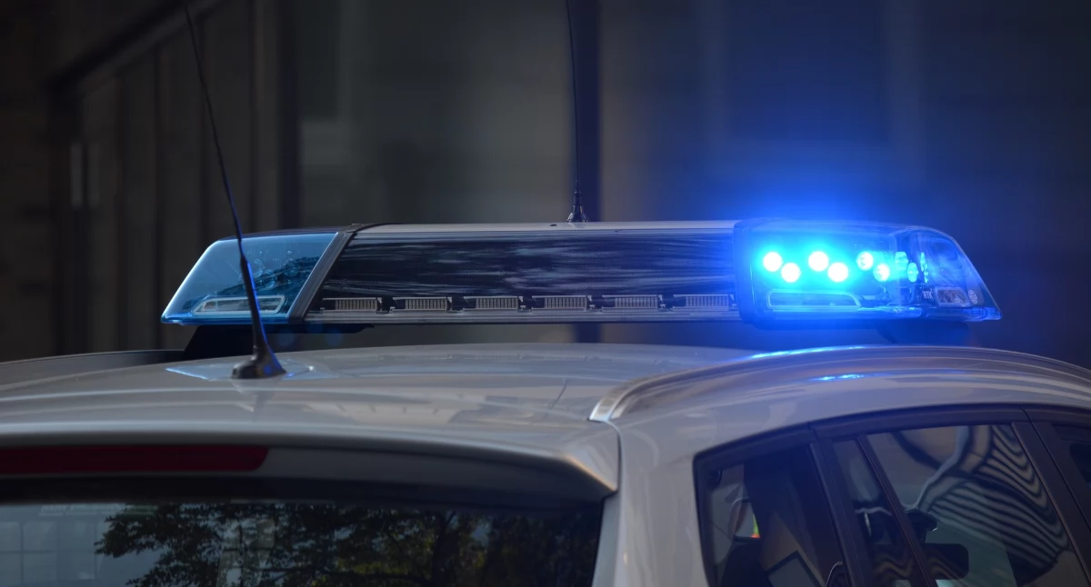Kronika Kryminalna - Policja, Kryminałki stycznia - zdjęcie, fotografia