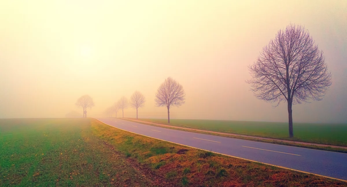 fot. pixabay