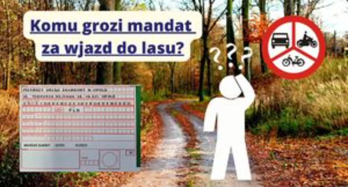 Komunikaty policji , Mandat wjazd pojazdem silnikowym - zdjęcie, fotografia