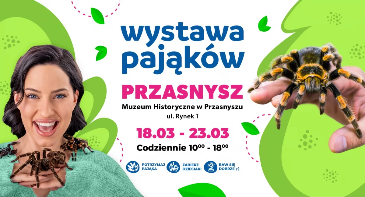 Wystawy, Wystawa pająków przasnyskim Muzeum - zdjęcie, fotografia
