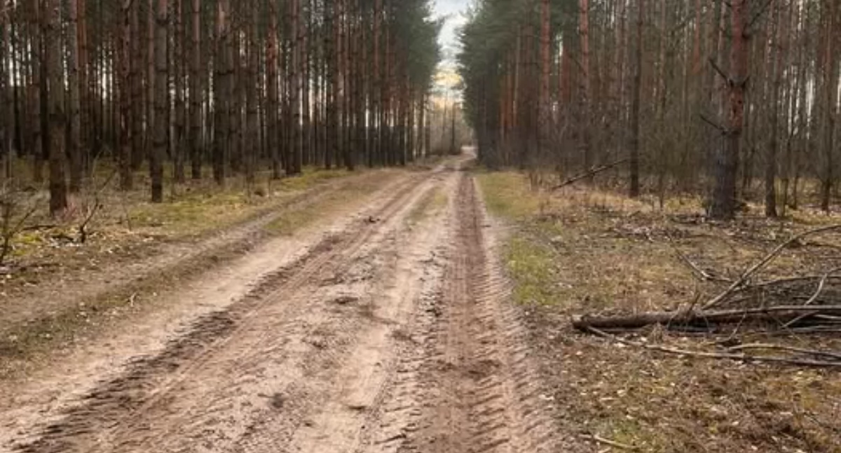Styl Życia, Drogę Krzyżową drogami Drążdżewa Nowego zaproszenie - zdjęcie, fotografia