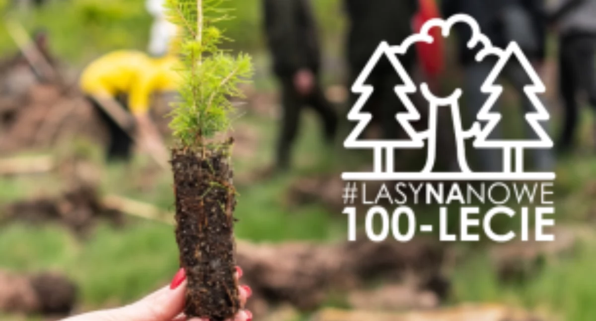 Styl Życia, Wspólne sadzenie leśnikami nazwą „Lasy lecie” - zdjęcie, fotografia