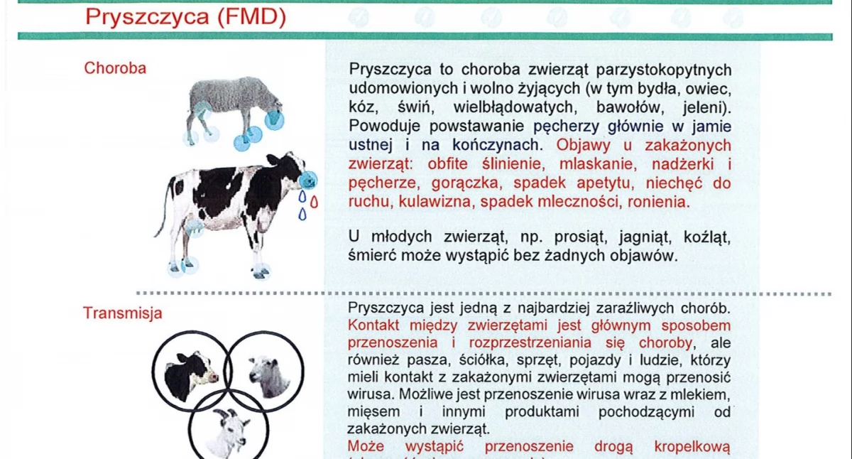 Serwis rolniczy, Pryszczyca (FMD) zwierząt - zdjęcie, fotografia