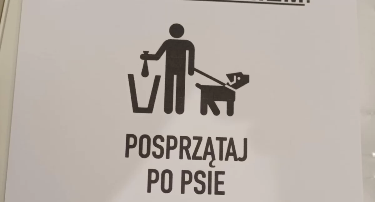 Styl Życia, Osiedle Orlika zasypane psimi odchodami właściciele psów stracili poczucie odpowiedzialności - zdjęcie, fotografia