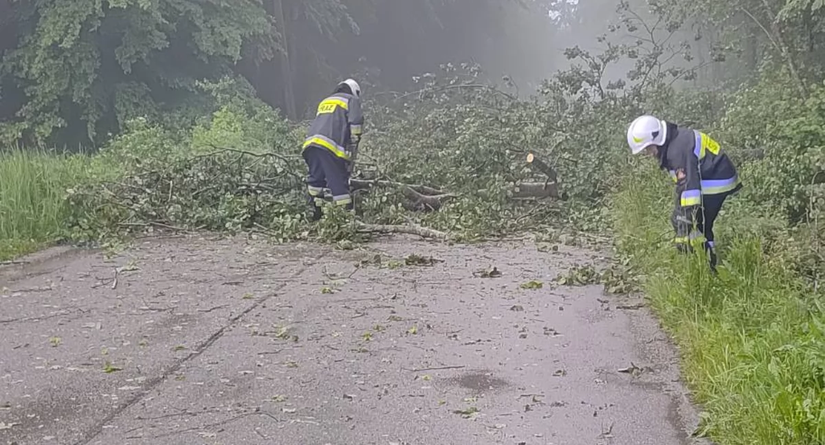 Pożary - Straż , Usuwanie skutków regionie działania Olszewcu Węgrze Nowych Czernicach Czernicach Borowych - zdjęcie, fotografia