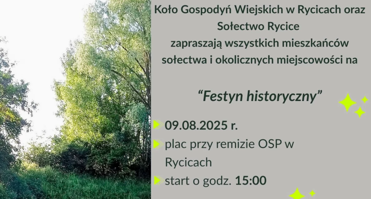 Festyny - Pikniki - Wydarzenia, Festyn historyczny Rycicach - zdjęcie, fotografia