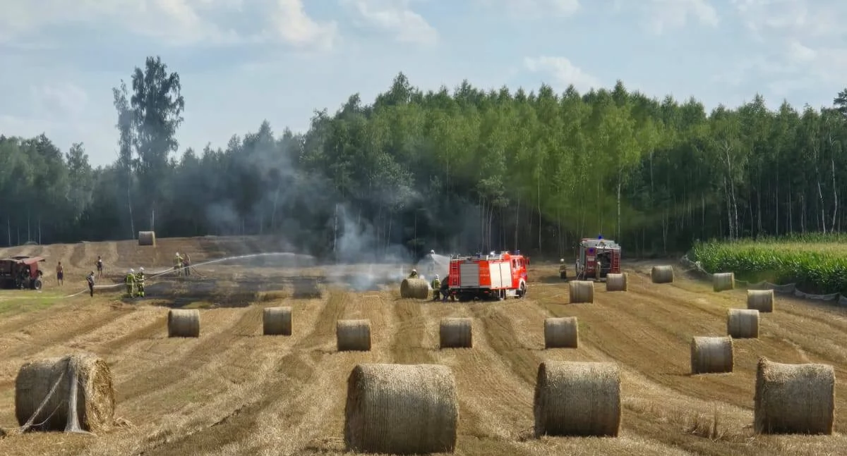 Pożary - Straż , Interwencja straży pożarnej Łaniętach pożar prasy ścierniska opanowany - zdjęcie, fotografia