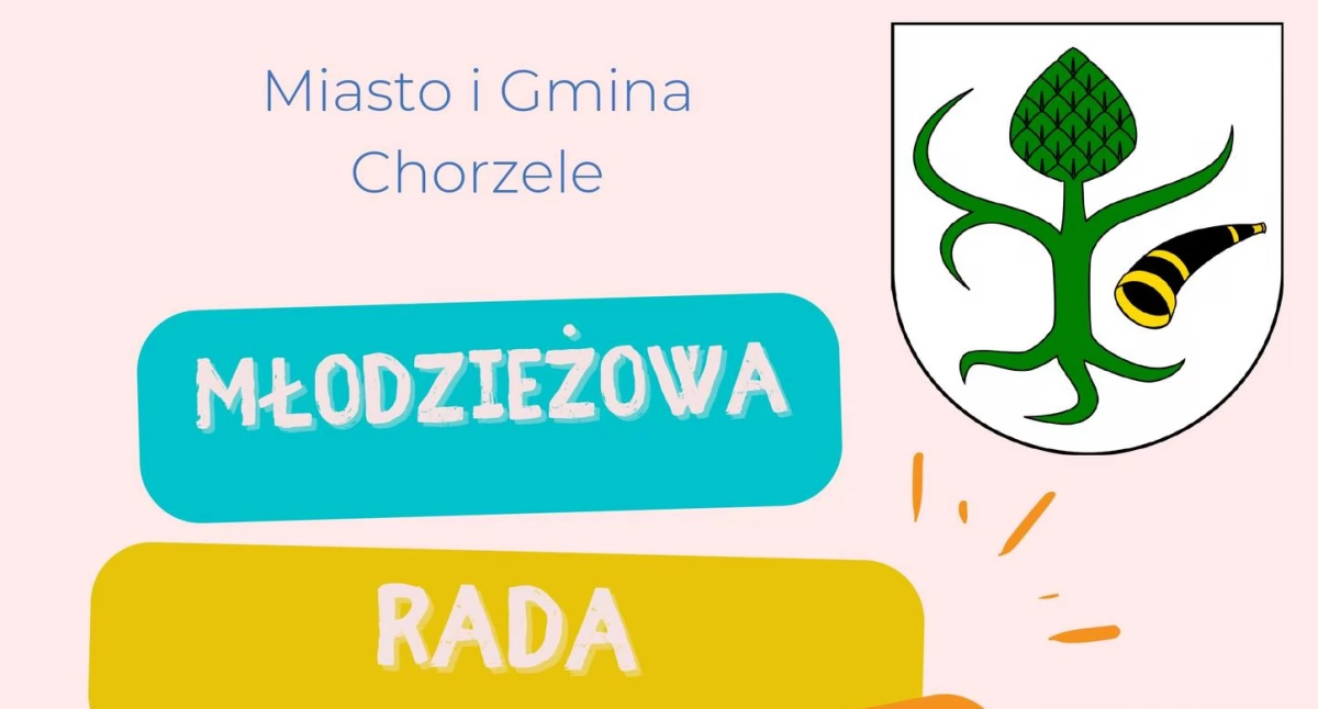 Burmistrz - Rada - Miasto, Młodzieżowa Miejska Chorzelach głos młodych znaczenie! - zdjęcie, fotografia