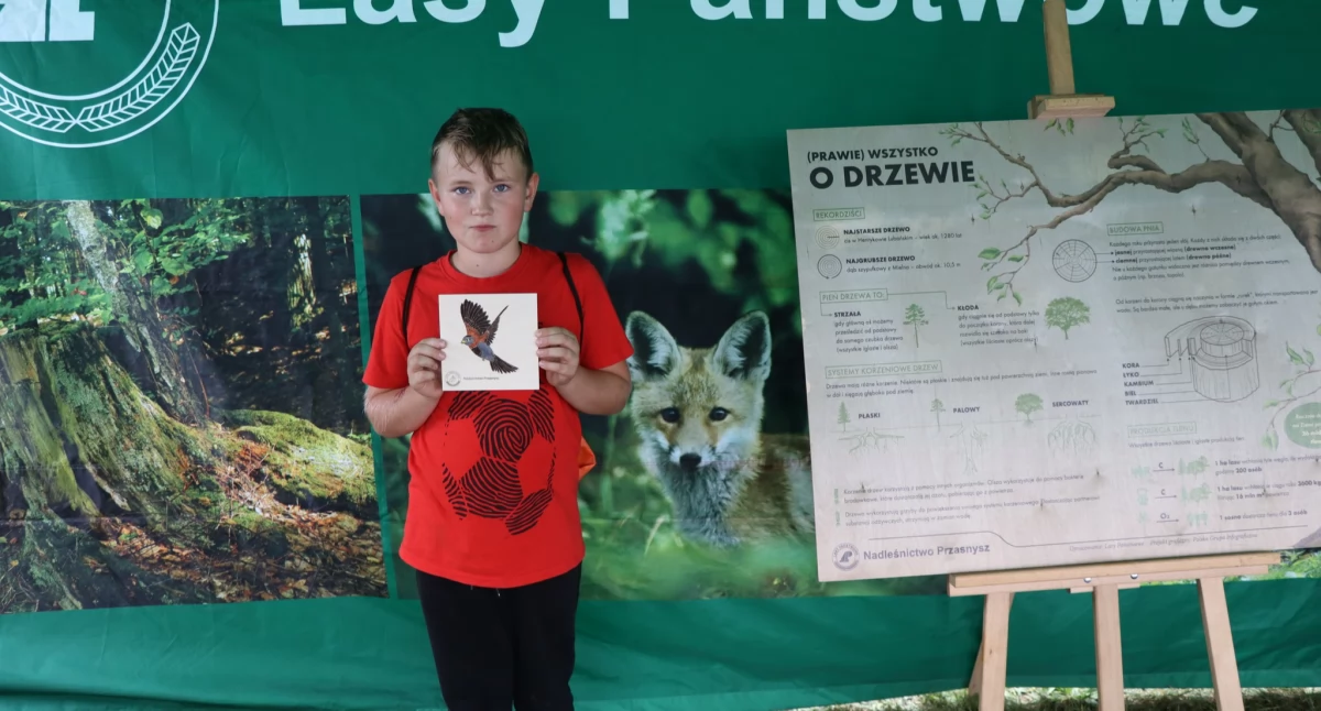Festyny - Pikniki - Wydarzenia, Leśna przygoda dożynkach Jednorożcu - zdjęcie, fotografia