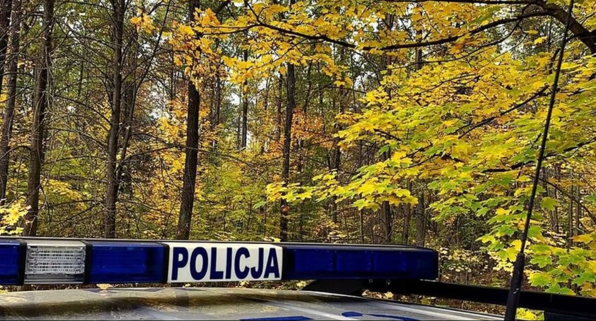Komunikaty policji , Sezon grzybobrania pamiętaj bezpieczeństwie lesie! - zdjęcie, fotografia