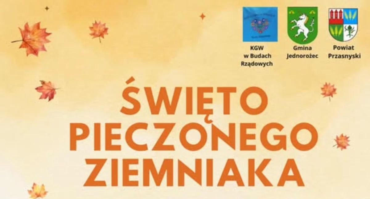 Festyny - Pikniki - Wydarzenia, Święto Pieczonego Ziemniaka Budach Rządowych - zdjęcie, fotografia