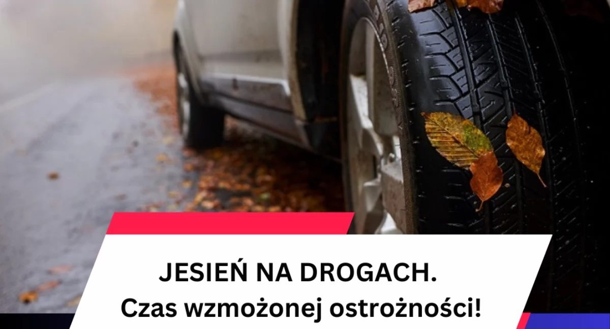 Komunikaty policji , Jesień drogach wzmożonej ostrożności! - zdjęcie, fotografia