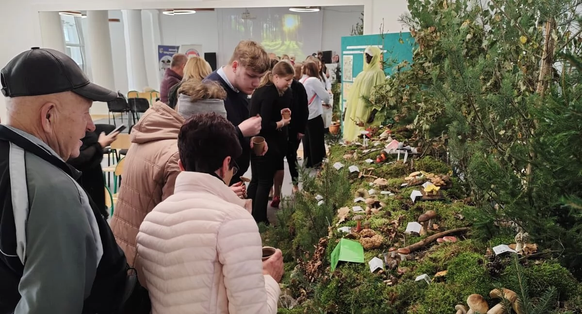 Wystawy, Poznaj grzyby unikniesz zatrucia wystawa edukacyjna Przasnyszu otwarta! - zdjęcie, fotografia