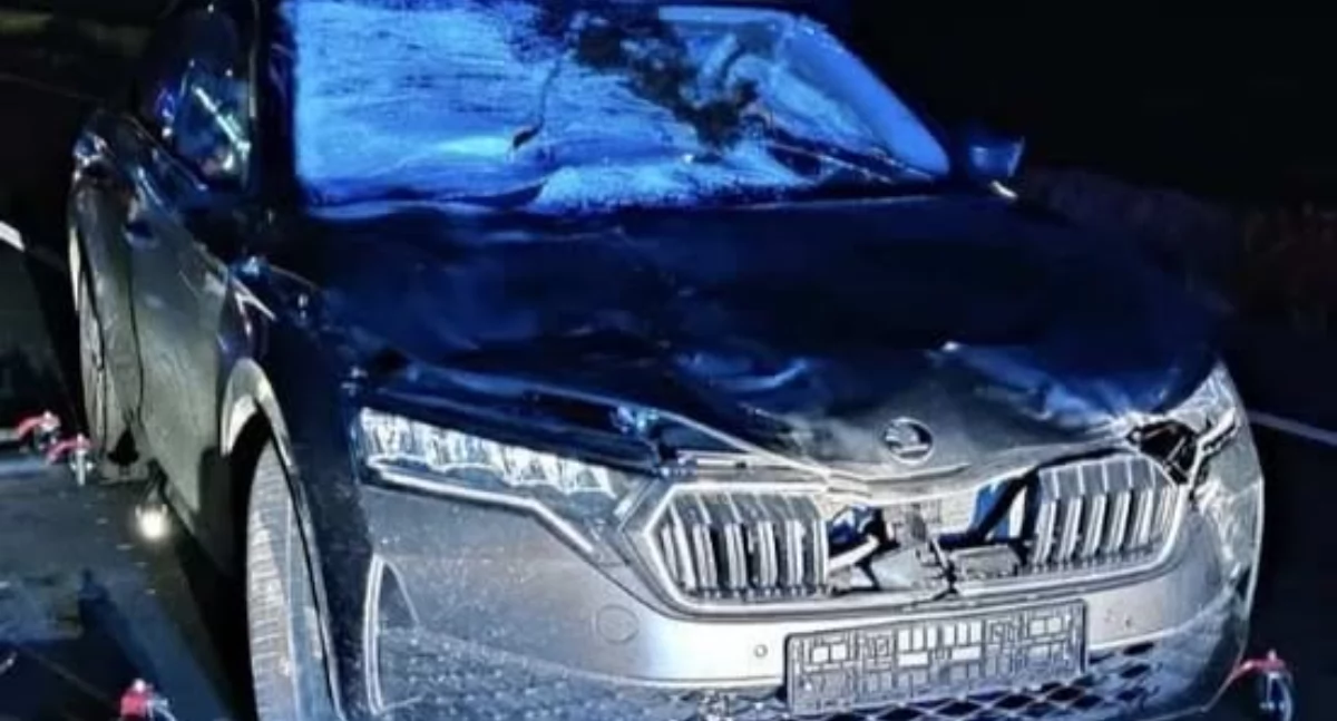 Wypadki drogowe, Zderzenie łosiem Turowie - zdjęcie, fotografia