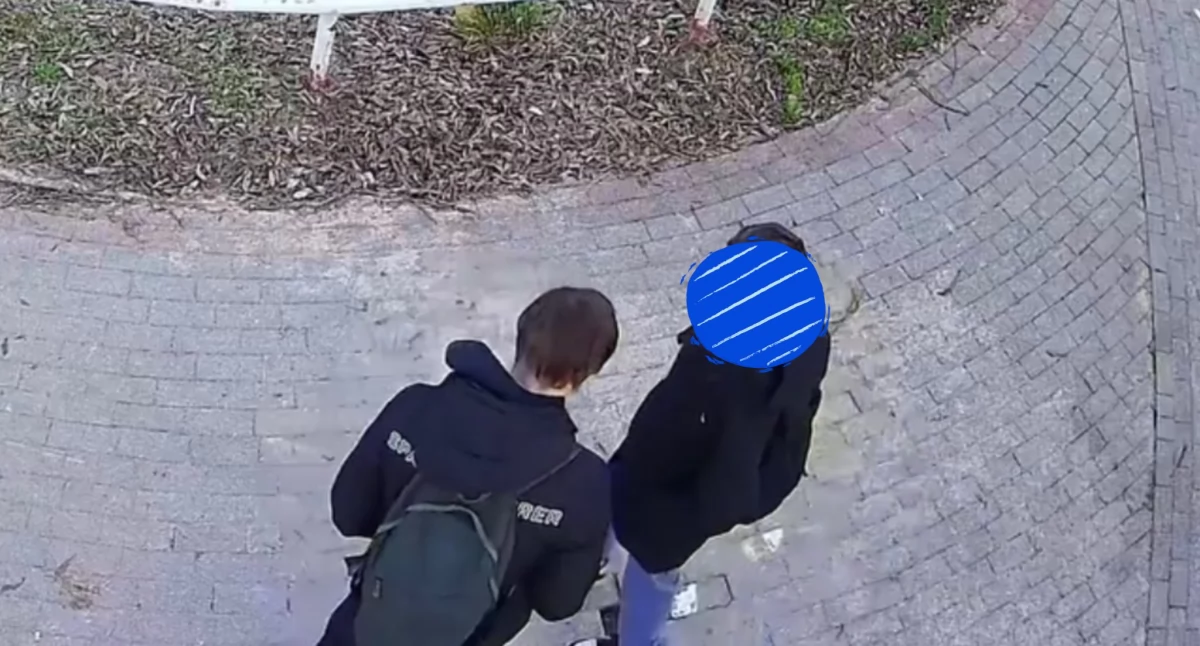 Burmistrz - Rada - Miasto, Wandalizm okiem kamer Burmistrz Przasnysza apeluje sprawców zgłoszenie urzędu - zdjęcie, fotografia