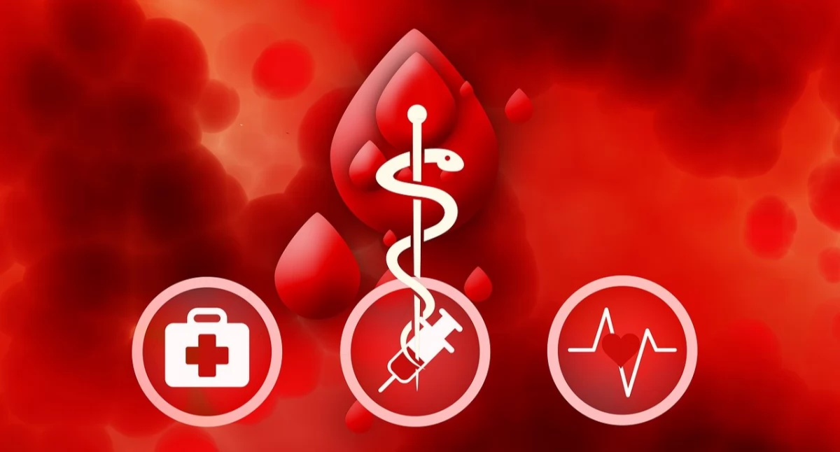 Charytatywne akcje, Harmonogram akcji krwiodawstwa Sprawdź terminy miejsca - zdjęcie, fotografia