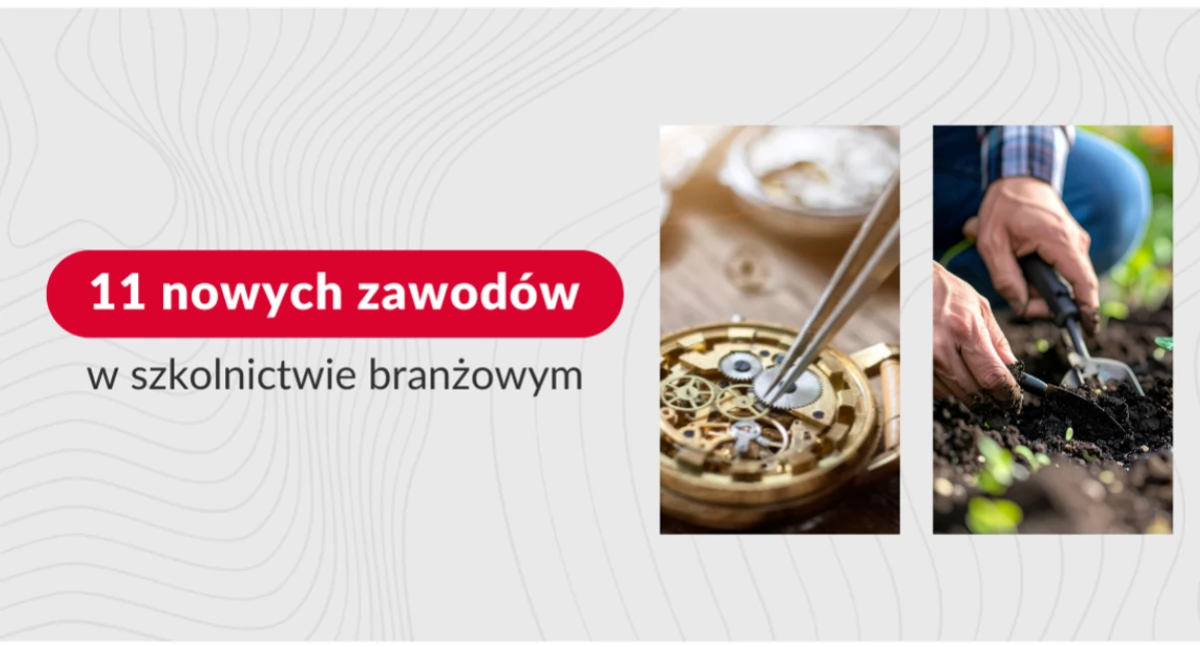 Partie polityczne, nowych zawodów szkolnictwie branżowym jakość kształcenia września - zdjęcie, fotografia