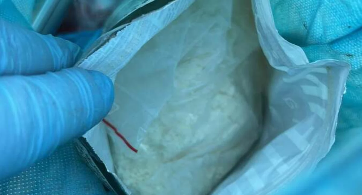 Kronika Kryminalna - Policja, Policyjny zawodzi Szron doprowadził śledczych narkotyków ukrytych nawet bieliźnie - zdjęcie, fotografia