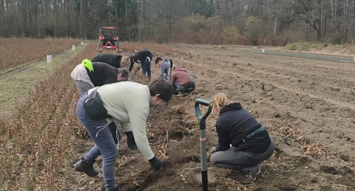 fot. Nadleśnictwo Przasnysz