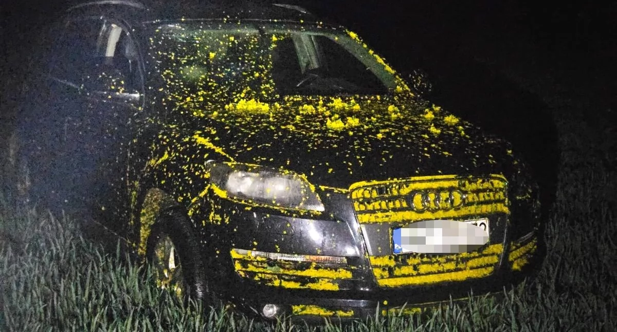 Kronika Kryminalna - Policja, Zgłosiła kradzież Policjanci odkryli próbę ukrycia serii przestępstw - zdjęcie, fotografia