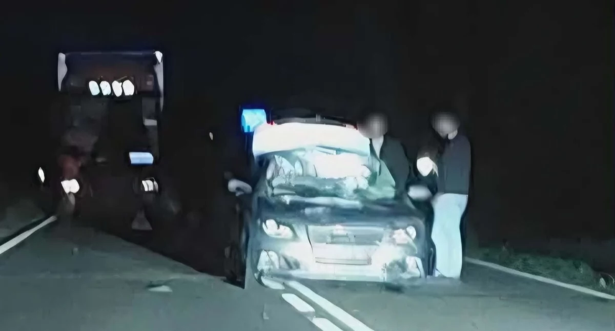 Wypadki drogowe, Zderzenie łosiem Makowie Mazowieckim osoby trafiły szpitala - zdjęcie, fotografia