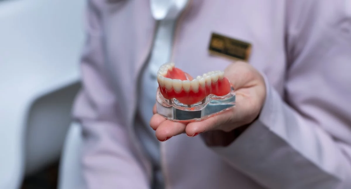 Promocje gospodarcze, zdobyć zawód technika dentystycznego Sprawdź ofertę Edukacja - zdjęcie, fotografia