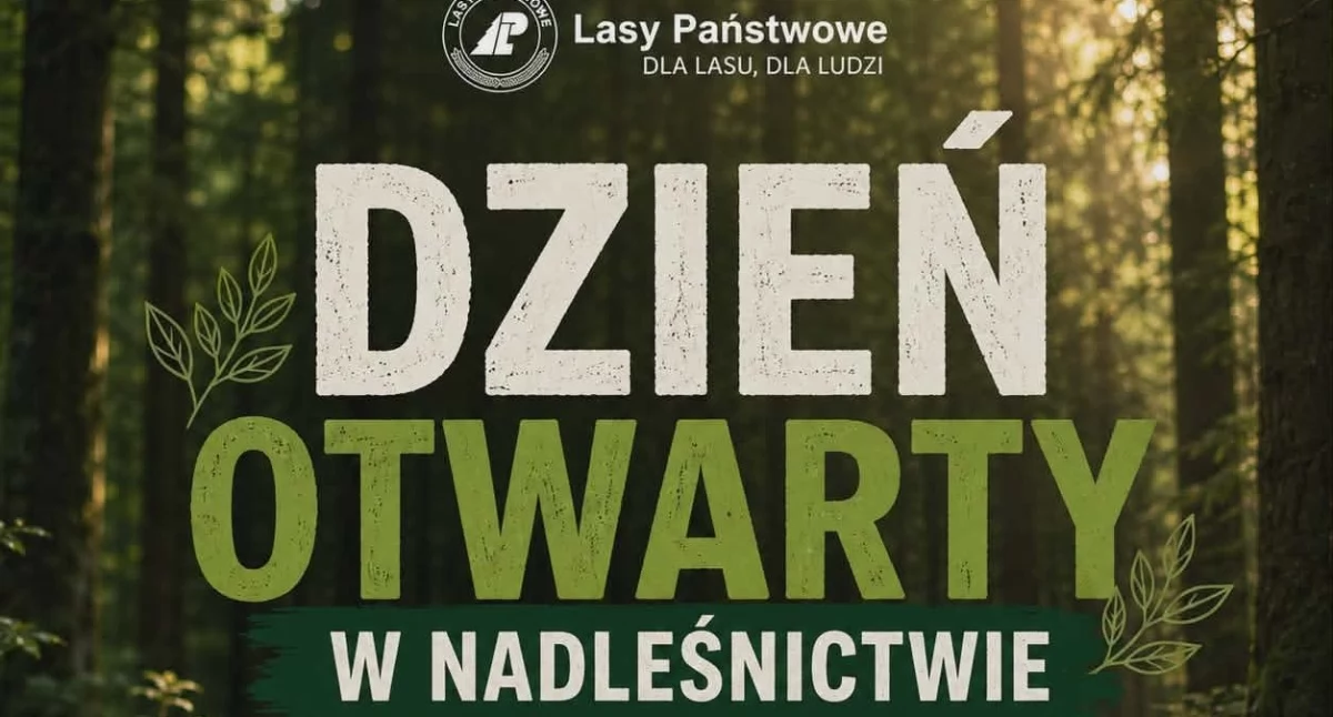 Warsztaty, Nadleśnictwo Przasnysz zaprasza dzień otwarty Poznaj pracę leśników kuchni - zdjęcie, fotografia