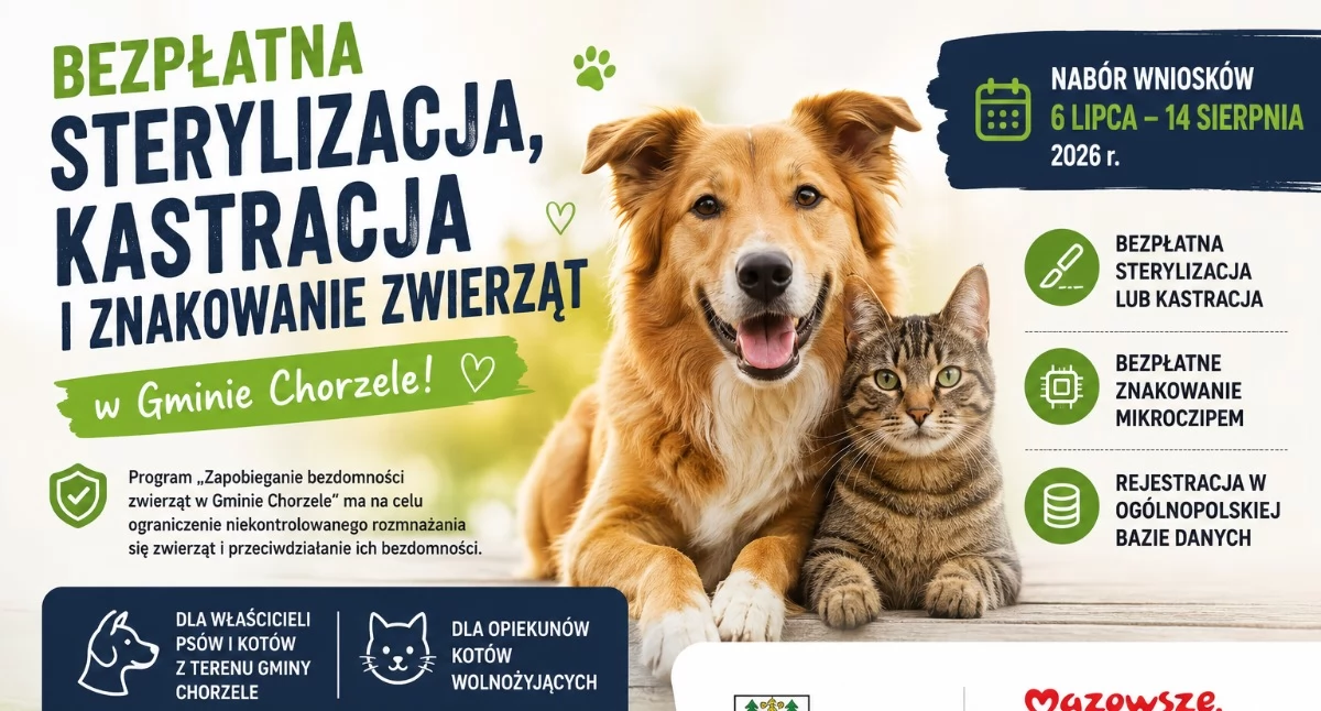 Burmistrz - Rada - Miasto, Darmowa sterylizacja czipowanie zwierząt gminie Chorzele Nabór rusza lipca - zdjęcie, fotografia
