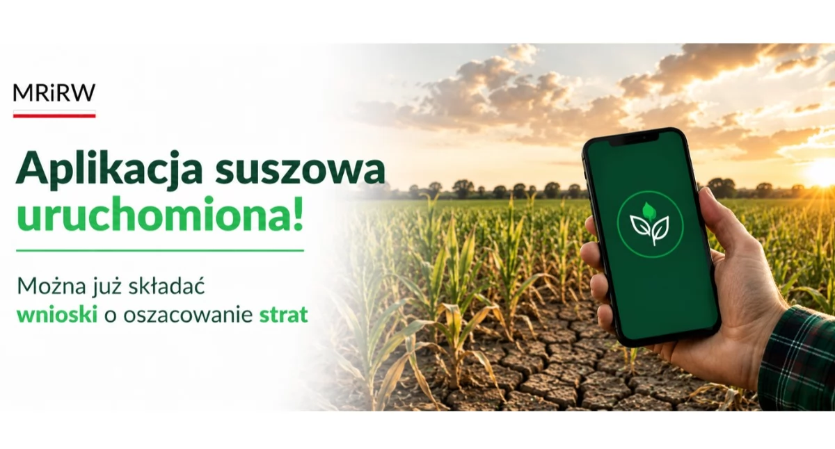 Serwis rolniczy, Ruszyła aplikacja suszowa Rolnicy mogą składać wnioski oszacowanie strat - zdjęcie, fotografia