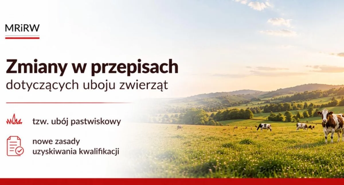 Serwis rolniczy, Będzie można prowadzić ubój pastwiskowy Minister podpisał przepisy - zdjęcie, fotografia