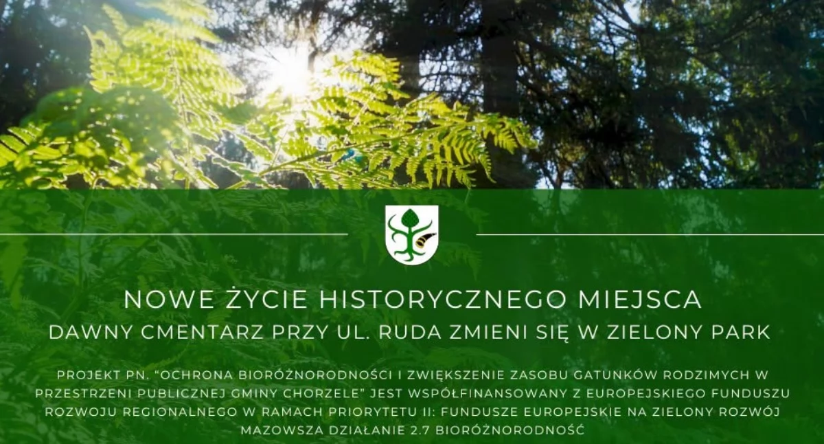 Burmistrz - Rada - Miasto, Dawny cmentarz zmieni Chorzele ruszają wartym ponad projektem - zdjęcie, fotografia