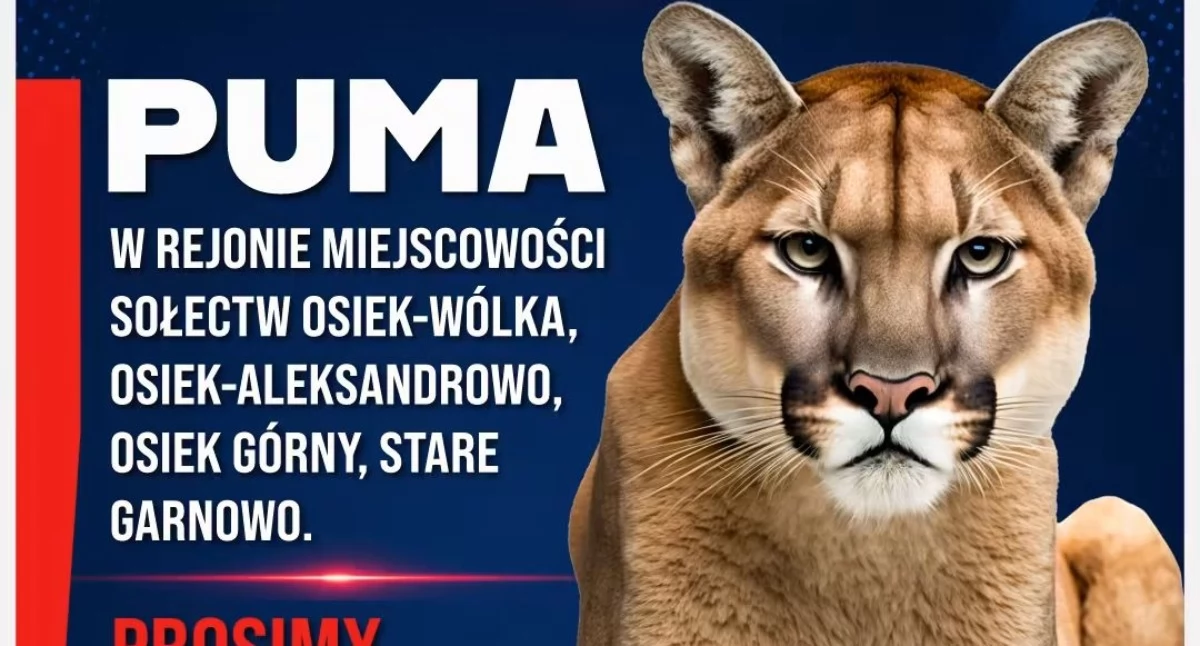 Komunikaty, Pilny komunikat mieszkańców rejonie kilku miejscowości - zdjęcie, fotografia