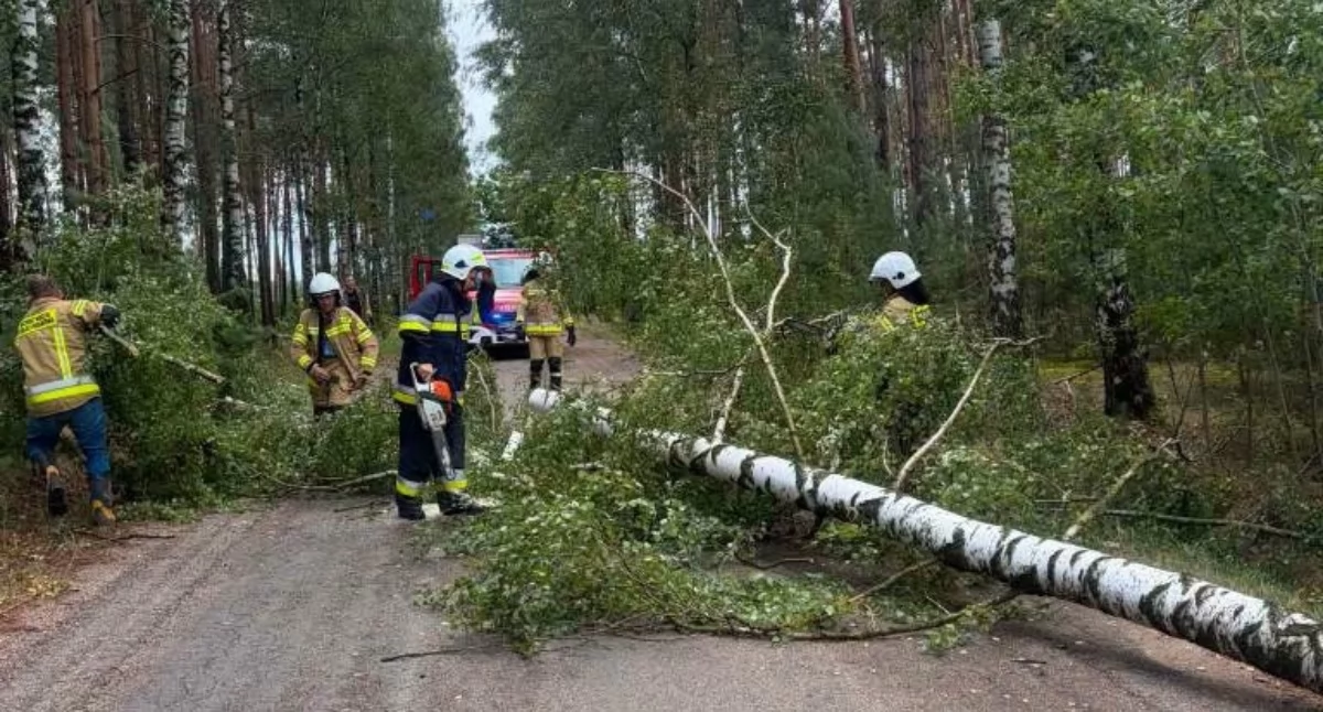 Pożary - Straż , Silny wiatr powiatem przasnyskim Strażacy przez wiele godzin usuwali skutki nawałnicy - zdjęcie, fotografia