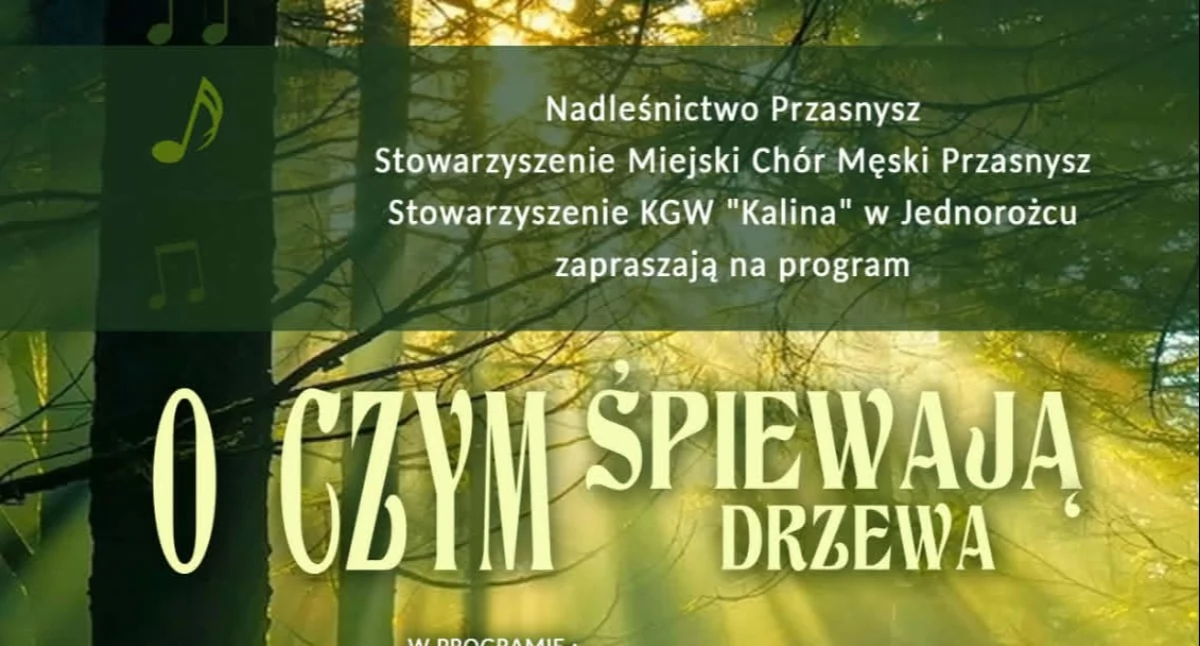 Festyny - Pikniki - Wydarzenia, śpiewają drzewa muzyczne leśne spotkanie Przejmach - zdjęcie, fotografia