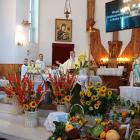 zdjęcie nr 8