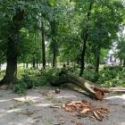 zdjęcie nr 31