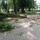 zdjęcie nr 34