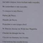 zdjęcie nr 11