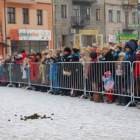 zdjęcie nr 137