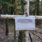 zdjęcie nr 54